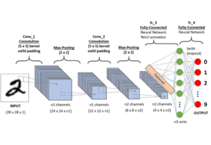 Understanding Convolutional Neural Networks (CNNs) for Image Recognition